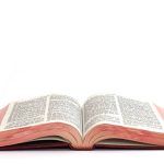 Kitchen Longevity Bible: Pro Tips from Veteran Line Cooks