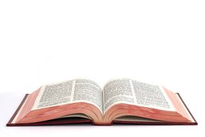 Kitchen Longevity Bible: Pro Tips from Veteran Line Cooks