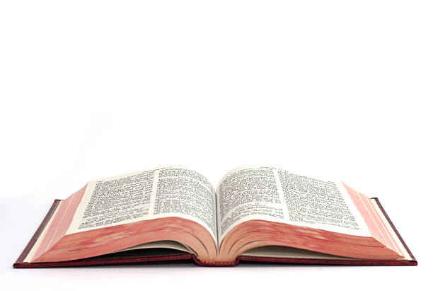 Kitchen Longevity Bible: Pro Tips from Veteran Line Cooks